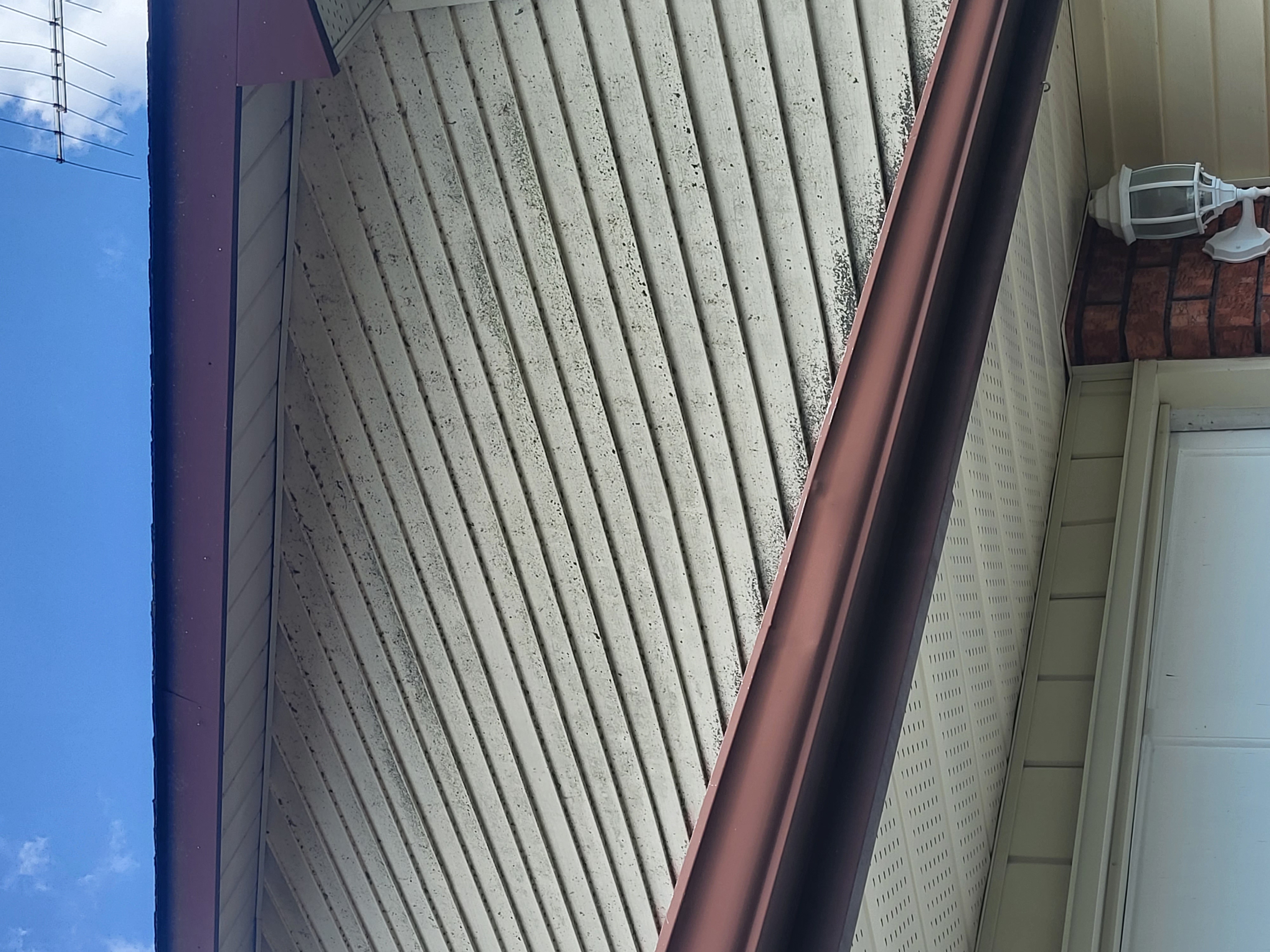 Siding and Roof Cleaning in Buckhorn, ON